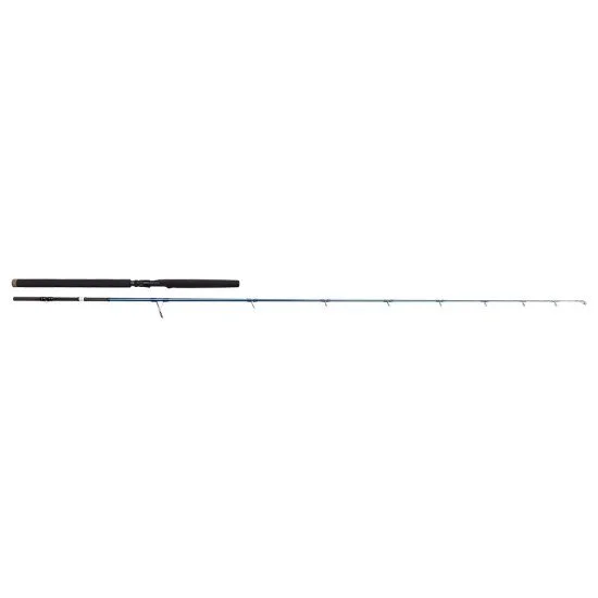 Savage Gear SGS2 Offshore Enchufe 2.50m F 30-80g MH