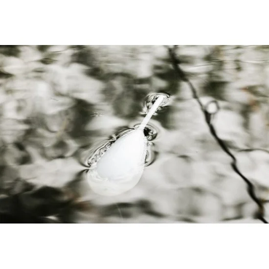 Flotador De Superficie Korda - Imagen 5